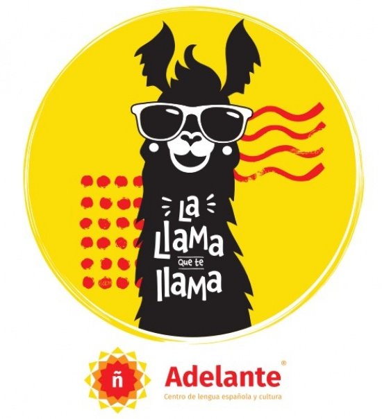 Рюкзак Adelante
